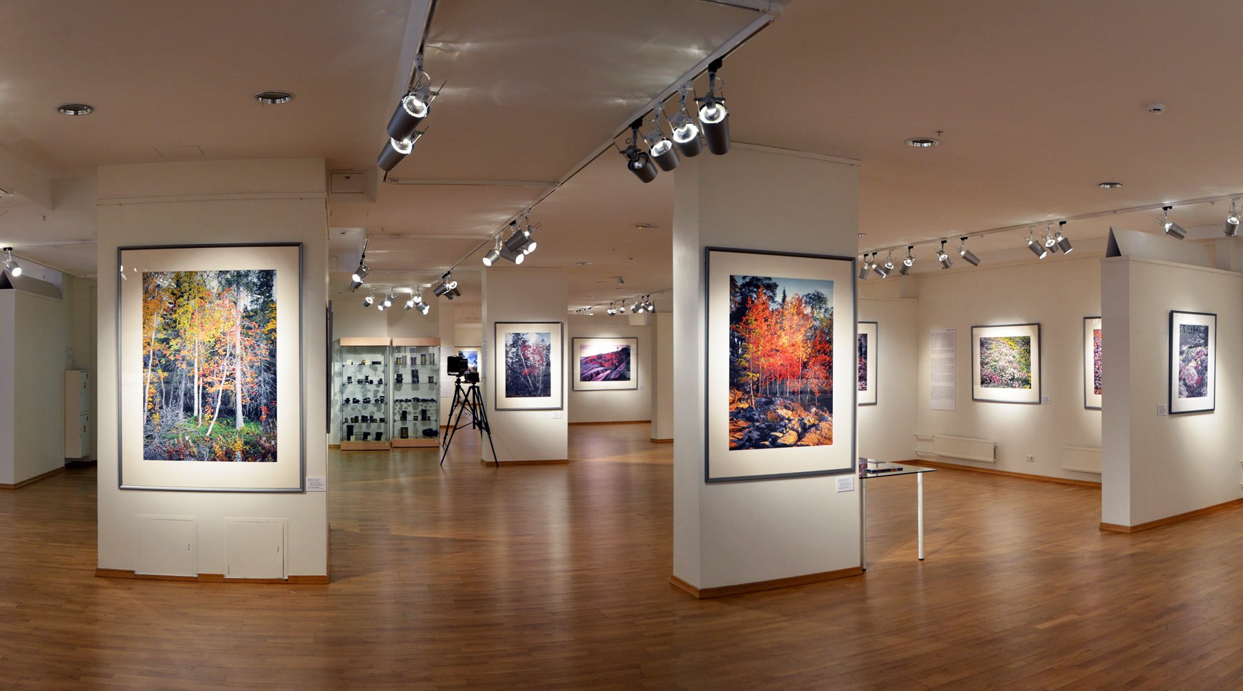 Выставочный зал галерея